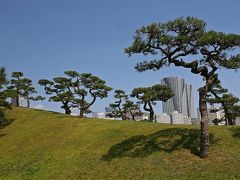 都会のオアシス “浜離宮” の花菖蒲！