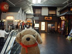 ちゃむたの旅行記☆２００９～チェジュ＆名古屋旅行・最終章　最後にセントレアで♪編