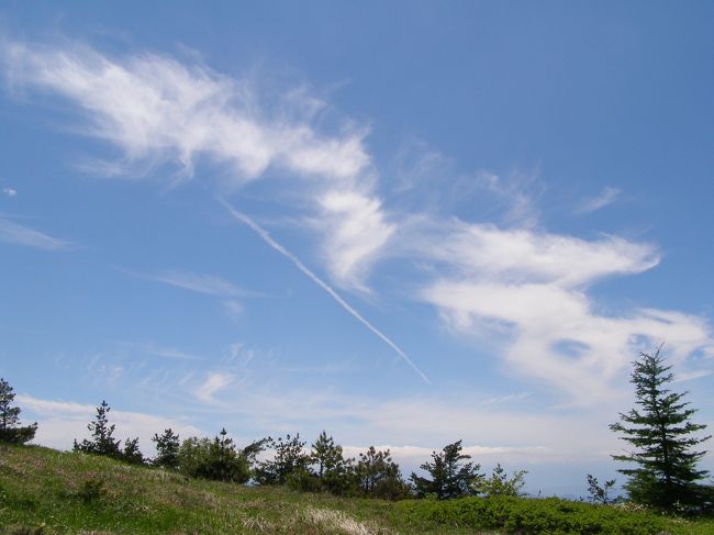 群馬県と長野県の県境にあります。<br /><br />広々としていて、とても見晴らしが良い所です。<br />高原の風もとても気持ちよいです。<br /><br />高台から見渡す美しい景色を紹介します。<br /><br /><br />【Data】<br />湯の丸高原情報：http://www.tomikan.jp/yunomaru/index.html<br /><br />行き方：「クラブツーリズム」主催のツアーに、友人と二人で参加しました。<br />http://www.club-t.com/kokunai/kanto.php<br /><br />※新宿-高原間の往復交通費、昼食代、入浴代が含まれていました。<br /><br />