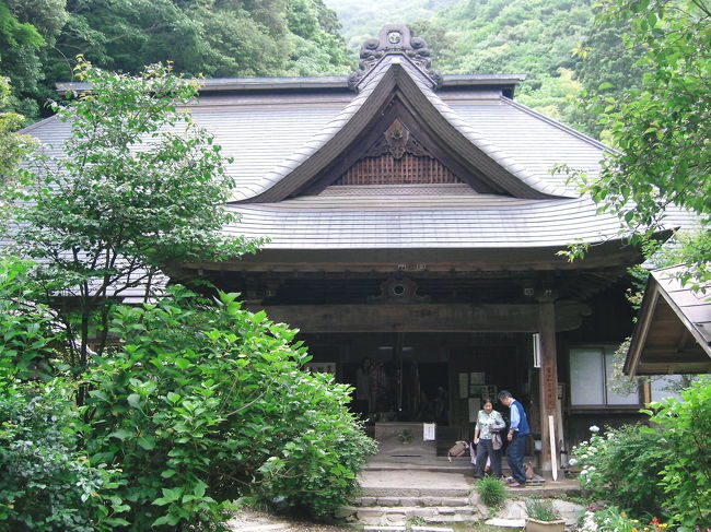 以前から気になっていた箱根阿弥陀寺に行ってきました。<br />箱根湯本駅から徒歩３０分程度です。<br />箱根ベゴニア園付近の登山口からなら約１５分。<br />（ＲＶ車ならお寺さん近くまで行くことができます。）<br />男坂と女坂があるのですが、私は男坂（近い＆急斜面）からアプローチ。<br />ちょっと勾配はきついですが、山林を歩くのはとても気持ちが良いものです。途中休憩することもなく到着。<br />阿弥陀寺は、どこか優しく、癒される空間でした。<br />私はあまり時間がない中での訪問でしたが、阿弥陀寺ではおもてなしも多数あるようなので、のんびりくつろぐのも良いかもしれません。<br />あじさいは６月２０日頃〜が見ごろなので、まだちょっと早い様子。<br />６月下旬に再訪したいと思います。<br />箱根湯本、あるいは塔ノ沢に出向いた際は、ぜひ足を伸ばされることをお勧めします。