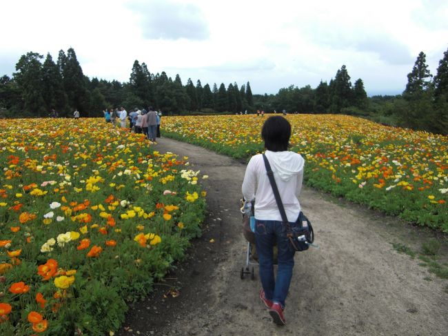 のんびりしたいぞ湯布院 1日目九重編 大分県の旅行記 ブログ By Kevinatomさん フォートラベル のんびりしたいぞ湯布院 1日目九重編 大分県の旅行記 ブログ By Kevinatomさん フォートラベル