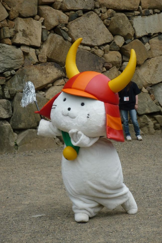 彦根城でひこにゃんに会って来ました。