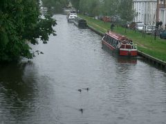Oxford の朝は、Thames Path をお散歩
