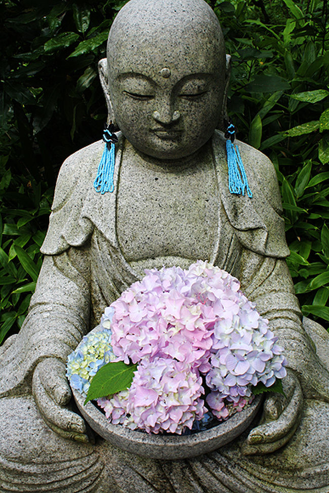 人生初の！紫陽花見物。<br /><br />鎌倉の紫陽花が、何故あれほど人気なのかを知りたくて<br />学生の頃からの長い友人A子と鎌倉へ。<br /><br />早起きして、東横線に乗って、まずは<br />「明月院」に向かいました。<br /><br />果たして、どんな景色が<br />二人を待っていてくれるのでしょうか？<br /><br />http://www.kamakuratoday.com/plan/ajisai1.html#meigetsuin<br /><br />1.「明月院」→2.「浄智寺」→3.「東慶寺」→4.「英勝寺」→<br />5.「Le Point Ouest（ル・ポワン・ウエスト）」でランチ→<br />6.「旧安保小児科医院」→7.「成就院」→8.「御霊神社」→<br />9.「長谷寺」