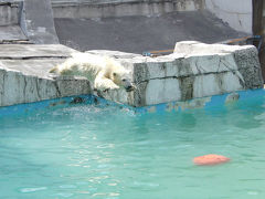 札幌（円山動物園・白い恋人パーク）