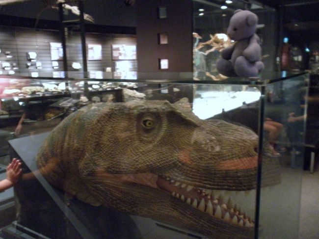 小倉に立ち寄ったあとは、スペースワールド駅で下車。<br />スペースワールドで遊ぶ・・・歳ではないので、お向かいのいのちのたび博物館で遊びます。<br /><br />いのちのたび博物館のサイト<br />http://www.kmnh.jp/<br />夏には、恐竜ラボというイベントもあるそうです。<br /><br />