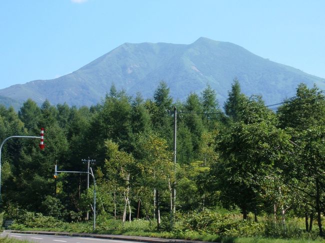 　北海道の道南は、その形が海老の尻尾そっくり。函館も江差も以前に行ったことがあるけれど、今回は、尻尾の先の先、恵山と白神岬に立ちたいと思いたった私たち。<br />　2007年夏、新日本海フェリーで小樽に渡り、小樽を基点にして北海道の道南をぐるりと一周ドライブして来ました。<br />　このアルバムは「ぐるりと道南ー３」で、江差から熊石、瀬棚、島牧、留寿都の海岸線からニセコまでです。 <br />　写真の山はニセコアンヌプリです。<br /> 