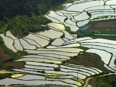 釜山・晋洲・統営一人旅Ⅴ　統営③地元の人と行く【統営の知られざる絶景棚田】