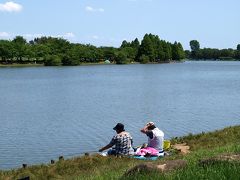 広々とした空　水面　芝生　葛飾　水元公園　菖蒲まつり−１