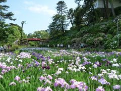 2009"★小田原城花菖蒲まつり★と城址公園へぶらりお散歩♪