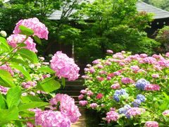 古刹*長谷山本土寺の庭園を巡りて　☆静寂の境内も