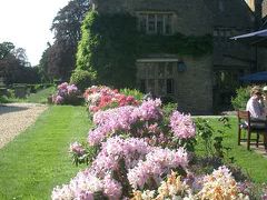 Buckland Manor Hotel でおいしいお茶とケーキをいただきました