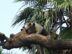 いつの間にか広くなりました！？～15年振りの上野動物園～　/　東京・上野