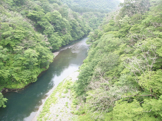 梅雨の最中、胎内市奥胎内渓谷で、バードウォッチングを楽しんできました。<br />今回のお目当ては珍鳥アカショウビンで、胎内市で企画したイベント「アカショウビン探鳥ｉｎ奥胎内」に参加し、奥胎内ヒュッテに一泊して探鳥しました。<br />残念ながら、お目当てのアカショウビンは私は見れませんでしたが、同じイベント参加者でも半数近い人は見られたそうです。<br />（途中から２グループに分かれて探鳥した為）<br />今回は鳥運に見放された格好でしたが、代わりに赤色型コノハズクを初めて見る事ができ、それなりの収穫はありました。<br />写真は、胎内渓谷の風景です。<br /><br />※ 2016.09.20 位置情報登録