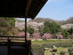 足守の近水（おみず）園の花見