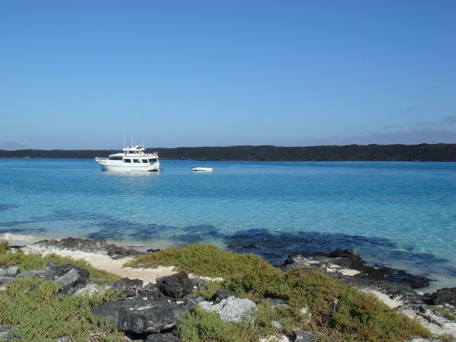 クルーズツアーのガイドさんに引き連れられて<br />３泊４日お世話になる船に着きました。<br />ここでお昼ご飯を食べて、今日はダーウィン研究所まで向かいます。<br />また桟橋まで戻って、車の荷台に乗ってダーウィン研究所まで行きました。<br />（３分くらいしか走りませんでしたが・・・）<br />一通り見学を終えた後、自由行動が１時間ほどありました。<br />５時に桟橋集合だったのですが、クルーズツアーで一緒のオランダ人のご夫婦と<br />待てども待てどもガイドさんは現れません。<br />とうとう日が暮れて真っ暗です。<br />結局ガイドさんが現れたのは集合時間から１時間後の６時でした。<br />どうやら一緒に参加するカナダ人のカップルをピックアップに行っていたようでした。<br />特にごめんねーとも言われず、南米の人って細かいこと気にしないんだな<br />と思いつつ夜ご飯を食べてこの日は終了しました。<br /><br />ちなみに、船には５つくらいの客室があって二段ベッド＋シャワー＋トイレがくっついていました。<br />シャワーは残念ながら水しかでませんでしたが<br />ガラパゴスは暖かいので何とか耐えれました＾＾<br /><br />