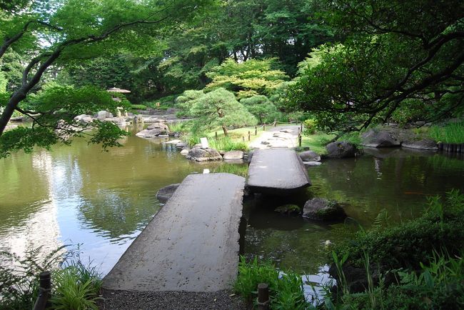 ６月２０日、午後２時に旧古河庭園を訪問して洋館付近を散策してから日本庭園に向かった。日本庭園は心字池を中心とした滝、灯篭、石及び岩、樹木等を組み合わせた心和む世界を作っていた。<br />この日本庭園では僅かばかりの花菖蒲と紫陽花があったが、それらが樹木と池と灯篭で作られた神秘な風景の中で旨く浮び上がっていて良かった。<br />この日本庭園の作庭者は、京都の庭師・植治こと小川治兵衛で洋風庭園とは優劣がつけがたいものになっていると感じた。<br /><br /><br />＊日本庭園の心字池