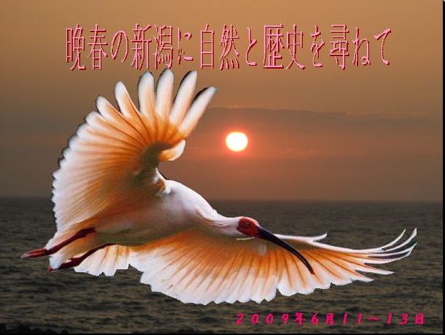 晩春の新潟に歴史と自然を尋ねて その１ 魚沼市 西福寺開山堂 魚沼 小出 新潟県 の旅行記 ブログ By ｍozartianさん フォートラベル