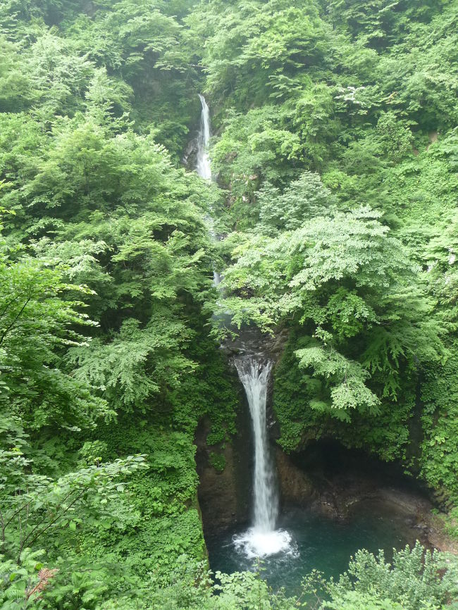 今回の滝めぐりのハイライトの、日本の滝百選『大山滝』にやって来ました！<br />一向平登山口駐車場から真っ直ぐ歩くと約45分でこの素晴らしい滝に出会うことができます。<br /><br />二段になった滝で総落差は43ｍだそうですが、実際よりも大きくて雄大に見えます。<br /><br />※日本の滝百選はこれで52ヶ所めとなりました！