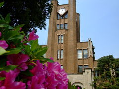 東京大学 駒場キャンパスの四季を巡る