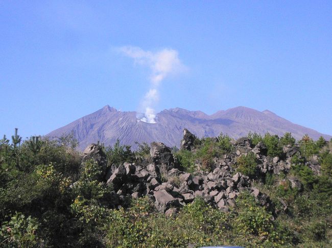 篤姫の影響ではかうって、ただたんに鹿児島に行きたかった・・・<br /><br />そんなわけで鹿児島旅行です(笑)<br /><br />広島西飛行場を朝1に飛び立つ便でいざ鹿児島へ。<br /><br />広島から鹿児島までは1時間ちょいのフライトでした。<br /><br />鹿児島空港に到着後は空港の向かいにあるレンタカーショップへ。<br /><br />レンタカーを借り、近くの犬飼の滝・丸尾の滝・霧島神宮を見学。<br /><br />霧島神宮はでかいっ!<br /><br />その後は、島津歳久公のお墓を見学(実はこれが旅のメイン)<br /><br />そのあとは、伊集院駅に移動し、島津義弘公の銅像を写真におさめ<br /><br />レンタカーを返却し、鹿児島中央駅付近に見つけた居酒屋へ。<br /><br />翌日は桜島へ渡り、島を一周。<br /><br />桜島から帰った後は鹿児島市内の西郷どん関連の遺跡をみて帰途へ。<br /><br />それがね、帰りはけっこうな雨が降っていたんですよ。<br /><br />鹿児島空港で「広島西飛行場へご出発の皆さまへご連絡いたします。<br /><br />予定の飛行機は悪天候のため、広島西飛行場に到着できない恐れがあります<br /><br />その際には、鹿児島空港に戻るか、福岡空港へ行き先を変更する恐れがあります<br /><br />ご了承のうえ、ご搭乗下さい」っていう不吉なアナウンスが(笑)<br /><br />まぁ。航空会社は大げさなこといってんだろうなぁって程度にしか<br /><br />思ってなかったのですが、なにがなにが(笑)<br /><br />出発後1時間弱で広島西飛行場が眼下に見えたのです。<br /><br />しかし、飛行機が、なかなか着陸せず。<br /><br />ん?旋回中?長い・・・・と思っていると!<br /><br />なんと!<br /><br />遠のく広島西飛行場!?<br /><br />機長からのアナウンスで「着陸を試みましたが、着陸に必要な条件を満たさないため<br /><br />今から福岡空港へ向かいます」って・・・<br /><br />えぇぇぇぇぇぇっっ!?<br /><br />と、思う間もなく、あっという間に広島西飛行場、見えなくなりました(笑)<br /><br />小一時間後、福岡空港に到着。<br /><br />滑走路のはじっこに止められたちっこい飛行機から降りてくる乗客を<br /><br />待っていたのはバス。<br /><br />バスに乗ったところで、JALのおねーさんから説明。<br /><br />時刻表をプリントアウトした紙と、これを見せたら福岡空港→博多駅<br /><br />までの地下鉄が乗れます券と、これを見せたら博多→広島の新幹線の切符が<br /><br />買えます券をもらい、その説明を受け、到着ゲートへ。<br /><br />その後、地下鉄に乗り、博多駅で晩御飯の弁当を買いこみ、広島まで<br /><br />新幹線で帰ってきましたとさ(笑)<br /><br />そんな感じな鹿児島旅行でした。<br /><br />