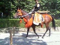 流鏑馬を見学にいく（武田流流鏑馬）