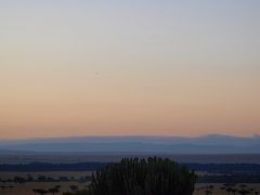 ありがとうケニア‐Asante sana Kenya-?サファリとマサイ族編