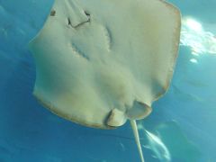 めんそーれ沖縄　（前編・８２枚）