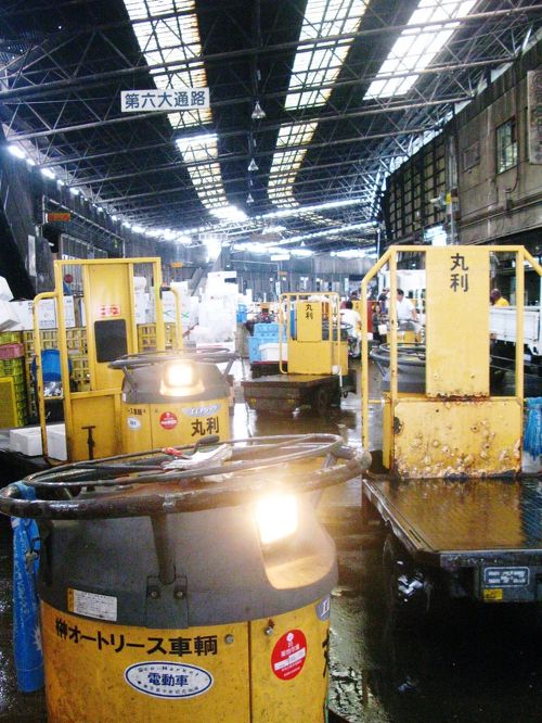 築地中央卸売市場水産物部仲卸業者等を見学 ☆魚介類いろいろ