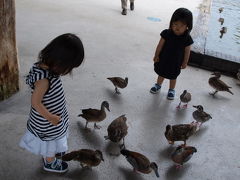 2度目の花鳥園