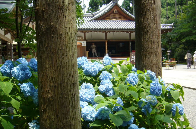 京都名庭１００選 38 あじさい祭り の大原 三千院 と 西山三山 楊谷寺 その１ 京都の旅行記 ブログ By Bachさん フォートラベル