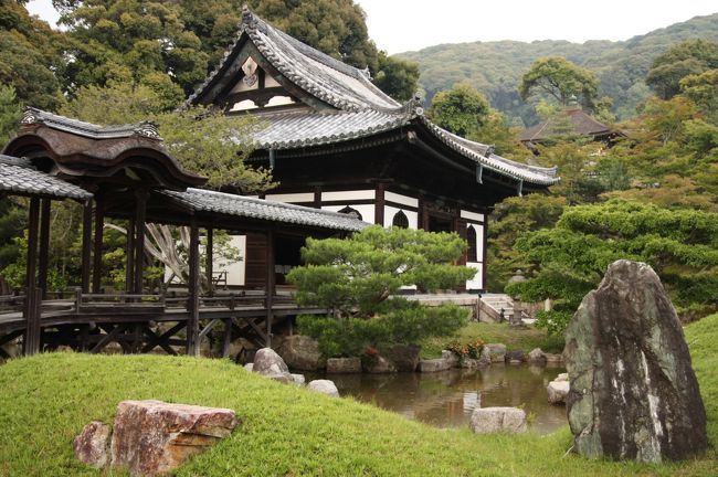 臨済宗建仁寺派 鷲峰山(じゅぶざん) 高台寿聖禅寺<br /><br />建仁寺から祇園を観光した後、山の方へ歩いて高台寺に来ました。<br />特に事前勉強をして訪れたわけではないので、秀吉&ねねに関係のある寺だということを知り、ちょっと驚くとともにテンションもUPしました。<br /><br />知識としての歴史と、実際に体感する歴史が繋がった時、難解なジグソーパズルの1ピースが重なった時のような、えもいわれぬ高揚感、達成感を味わうことができるんですよね。<br />これだから、歴史探索の旅はやめられない(^o^)<br />