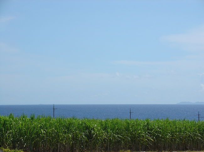 ７月の沖縄は最高！<br />しかし暑い・・・