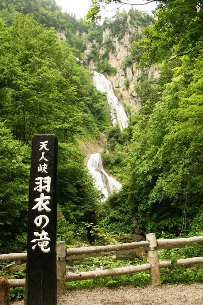 何で、突然山登りに目覚めちゃったんだろう…、われながら不思議。<br />今まで、山登りをする人の気持ちがわからないと公言していたのに！（笑）<br /><br />まぁ、今でも山登りは出来ればしたくないのが本音。<br />でも、スイスでトレッキングをすると決めてから、とりあえずは体力づくりにと、近場の山を登ってみたり、フットパスなるもので歩いてみたり。<br />あら、もしかして山登りもやれば出来る？<br />（まだ面白いとまでは行かないけど…）<br /><br />そんな時に、またまた新聞の記事が目に飛び込んできた。<br />　「第７１回大雪山山開き縦走登山会」参加者募集<br /><br />大雪山は、言わずと知れた北海道の屋根。<br />大雪山系と呼ばれるように、いくつもの山々を合わせると神奈川県ほどもある広さの大雪山国立公園。<br />大雪山に登るなんて、素人じゃ無理！と思っていたら、まるっきり無理と言うわけじゃない、ガイドがつくなら気力・根性があれば登れるよ！と聞き、調子に乗って無謀にも参加申し込みしちゃいました。<br /><br />この登山会、３つのコースがあり、今回は初心者でも大丈夫と教えてもらった「旭岳～黒岳」のコースを選択。<br /><br />でも…、申し込んでしまってから「本当に登れるんだろうか、それも縦走だよ～（泣）」といつものようにだんだんと不安になり…<br />払った参加費１６５００円は、キャンセルしても戻らないと言うこともあり＾＾；、頑張って行って来ました！<br /><br />本当は、写真を撮る余裕も無いくらい辛かったので、旅行記となるだけの写真ではないかもしれないけど、臨場感あふれるヘタレ登山者の旅行記として笑っていただければ幸いです。(´皿`●)ｧ，､，､，､ﾉヽﾉヽﾉヽﾉ ＼<br /><br /><br />*****　*****　*****　*****　*****<br /><br />2010年も、登ってきました。<br />2010年は、愛山渓～永山岳～北鎮岳～黒岳コースです。<br /><br />旅行記はこちら<br /><br />→http://4travel.jp/traveler/kiyoyuri/album/10474192/<br /><br /><br />