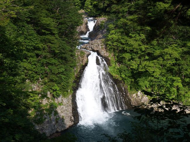 昨秋に続き東北出張が入りました。今回は福島県。時期的に雨が心配ですが、これを逃す手はないと金曜日に休みを取り、３日間の滝三昧山三昧の旅を計画しました。大まかな計画は以下の通りです。<br /><br />６月１２日（金）　前日郡山泊、乙字ヶ滝、銚子ヶ滝、安達太良山登山、米沢泊<br />６月１３日（土）　滑川大滝、七ツ滝、白糸の滝、法体の滝、山形泊<br />６月１４日（日）　蔵王山登山、三階の滝、秋保大滝、仙台空港から伊丹空港<br /><br />乙字ヶ滝が福島空港の目と鼻の先にあるので、本当は逆コースにして福島空港から帰りたかったのですが、満席でやむなく仙台空港から帰ることになりました。天候はやや問題もありましたが、ほぼ予定通りにスケジュールをこなし、３日間で百選滝８本と、百名山２山をクリアしました。これで東北地方の百選滝は岩手県の不動滝と難関３滝（三条、松見、茶釜）だけとなりました。　<br /><br />今回の旅でのひとつのポイントが秋田県の法体の滝に行くことができるかどうかでした。当初２日目に滑川大滝に行く予定で、早朝ホテルを出発するつもりでした。ところが前日に滑川大滝に行くことができたので、朝はゆっくりできた上に余裕を持って法体の滝に行くことができました。<br /><br />法体の滝滝滝見難易度：２（展望所）、見るだけなら０<br />参考　滝見難易度０：道路から見える、１：片道徒歩５分以内、２：片道徒歩１５分以内、３：片道徒歩３０分以内、４：片道徒歩１時間以内、５：片道徒歩２時間以内、６：片道徒歩２時間以上もしくは２時間以内でも特別な装備が必要な場合など。私の旅行記ではほとんど出現することはないと思われる。<br />注意　滝見難易度はあくまで私の主観によるものであり、また季節や天候により難易度が上がる場合もあります。私の旅行記を参考にされて、「違うかったやんけ」とおっしゃられても責任は負えませんのでご了承ください。また、難易度が高い場合はできる限り単独行は避けるようお願いします。