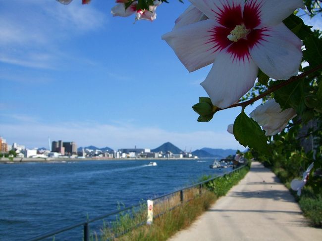 今日は朝から晴天、金曜日のボーリングで完治したはずの腰痛が<br />今朝から、ご機嫌ななめ!そんな訳で一日中ゴロゴロ!<br />そんな時!<br />バイク屋さんから吉報!念願のバイク用ETCが入荷したとの知らせ!<br /><br />ETC取り付け中に江波山公園まで、重い腰を引きずりながらの約2時間の散策です。<br />