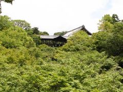 京都散歩：初夏のもみじ狩り（前半）