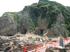 波立海岸の樹叢と見られた山野草