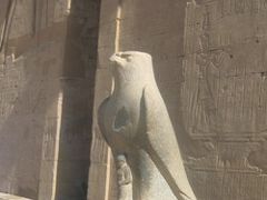 ＧＷ　エジプト８日間の旅（４日目）