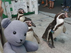 02越前松島水族館で戯れる（福井の旅その２）