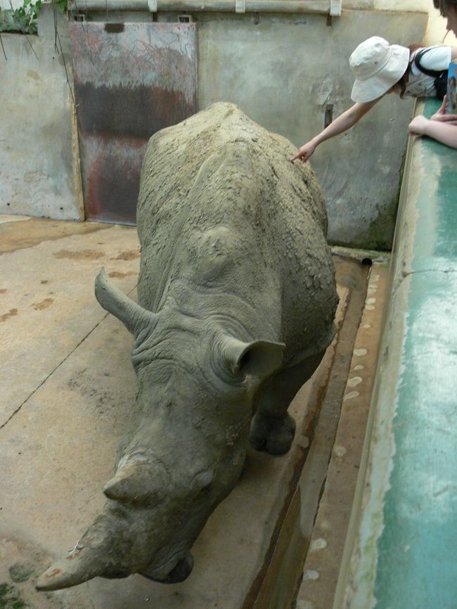 大の動物園好きの私、ヨーロッパ各地の動物園を回りたいのですが<br />どうしてもきちんとした観光目的で訪れると時間がなくて<br />動物園は除外されてしまいがち･･･<br /><br />そこで観光ではなくてピクニック気分で行けるような動物園を探してみると･･･<br />ありました。しかもコッツウォルズに！(実際にはオックスフォードの奥地ですが･･･)<br />まぁ、普通観光でコッツウォルズに来たら動物園には行かないよなぁ<br /><br />その名も「Cotswold Wildlife Park and Gardens」<br />動物園という感じではなく、動物公園とでも言うのか。<br />とりあえず天気がとてもいいので、お散歩気分で行ってみましょう！<br /><br />http://www.cotswoldwildlifepark.co.uk/