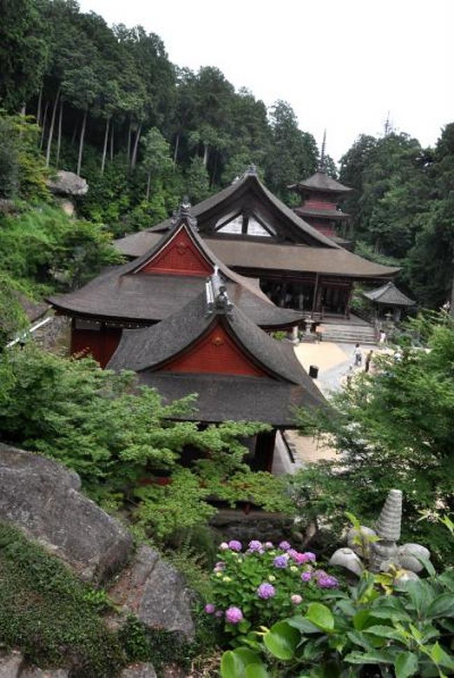 長命寺は西国三十一番札所の聖徳太子開基の寺で、<br />琵琶湖の眺めも美しい寺院です。<br />杉並木.竹林に囲まれた八百八段の長い石段を登りつめると、<br />荘厳な建築物本堂・護摩堂・三重の塔・三仏堂・鐘楼など<br />重要文化財の諸堂が立ち並んでいます。<br />今の時期は、華麗な紫陽花が人々を迎えてくれます。<br /> ここ「長命寺」で毎年恒例の<br />紫陽花とともに楽しむ初夏のコンサート<br />（近江八幡観光物産協会・長命寺主催、まんなかの会後援）<br />が開催され、また、境内では約500株の紫陽花が咲き誇っている。<br />朱塗りも鮮やかな三仏堂に設けられた特設ステージでは、<br />テーマは、「めぐりあう時」。<br />出演者：1部 中国楽器「二胡」（演奏サークル「こんこ舎」）<br />2部 　　　　ヴォーカル（野村エミ）フルート（中山登志子）<br />　　　　　　　　　　　　　　　　　　ピアノ（ 岩坂富美子）<br />　<br />階段を登り詰めた境内は青、紫、薄紅色のアジサイが出迎え..<br />初夏のコンサートで爽やかな演奏に心癒され、うっとり耳を傾けた。<br />帰りは、有料シャトルバスで...急いでコンサートの一部前半のみ<br />帰りの、ラッシュを避ける..........<br /><br /><br />追伸.2009年10月１日〜末まで、61年ぶりにご本尊<br />（秘仏：千手十一面聖観世音菩薩）のご開帳が行われます。<br /><br /><br />問い合わせ先  近江八幡観光物産協会 0748-32-7003    <br />開催地  　　　長命寺    <br />住所  　　　　近江八幡市長命寺町157    <br />アクセス公共　JR琵琶湖線近江八幡駅より<br />　　　　　　　近江鉄道バス長命寺下車<br />車　　　　　　名神高速竜王ICより約30分<br />駐車場　　　　無料台数に限りあり <br />備考 　　　　　1部：15：45&amp;amp;amp;#12316;16：15 2部：16：30&amp;amp;amp;#12316;17：45