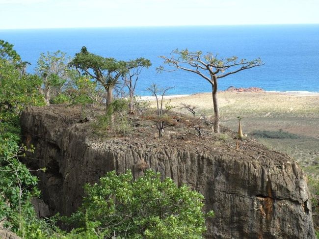 その島は、アラビア海に浮かぶ絶海の孤島。はるか昔に大陸から切り離され、150種類を超える固有動植物がいるそうだ。<br /><br />大きさは滋賀県程度。<br />ソコトリ語という文字をもたない言語が話される人口数万人の島。<br />顔はアラブというよりアフリカに近い。<br /><br />そんな島、ソコトラ島。秘境イエメンの中の秘境。<br />The Most Alien-Looking Place on Earth <br />～地球上で最も地球に見えない島！～<br /><br />首都サナアから飛行機で途中ムッカラ郊外のリアン空港経由で3時間。<br /><br />フェリックス航空の機体は真新しいが、飛行機なのになんと自由席！<br /><br />そんな未知の島で、カランシアのデドワラグーン、ディクサム、ホムヒル、ワディアレヘ、ディハムリ、ハディーボと周った。<br /><br /><br />