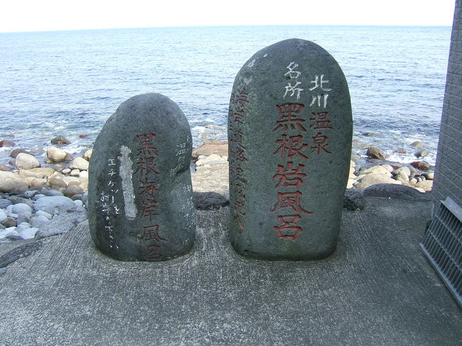 今日は伊豆スカイライン通って、沼津で昼食。<br />伊豆半島を斜め横断？の行程です。