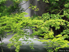 『日本の滝百選』　大山滝（だいせんたき）。。伯耆富士の山麓に美しく、そして迫力の二段の滝　/鳥取県東伯郡琴浦町