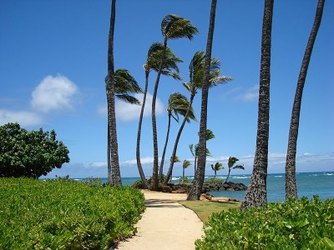 2009.6.15から2週間ハワイに滞在した楽しい思い出を写真いっぱいのブログにしました♪