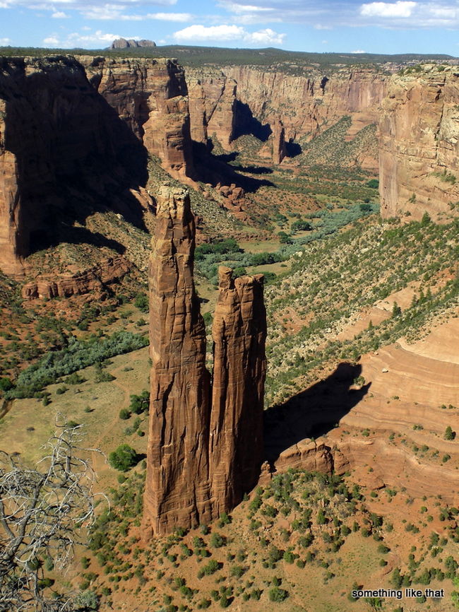 昨年買った年間パスを有効活用すべく今回もナショナルパーク巡りへ。（NP=National Park, NM=national monument, SP=State Park)<br />２日目　セドナ出発→化石の森NP→キャニオン・デ・シェイNM→<br />　　　　コルテツ泊<br /><br />時差も含めて、意外と時間がかかる道のり。景色は最高なのだが。アリゾナはサマータイムを採用していない為、カリフォルニアと時間が同じ。しかし、インディアン自治区は採用している為、キャニオン・デ・シェイあたりから、１時間早くなる。翌日の朝には、メサヴェルデのレンジャーツアーの予約をする為には、今日中に、コルテツまで行かなくては。<br /><br /><br /><br /><br />