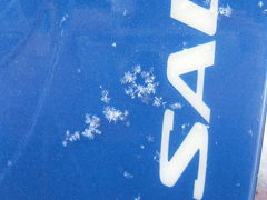 ひるがの高原スキーと白川郷２泊３日　②／④