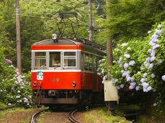  アジサイ電車 2009 