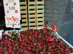 2007.05　北欧3ヶ国　6日間の旅　【5】　-フィンランド編　?-